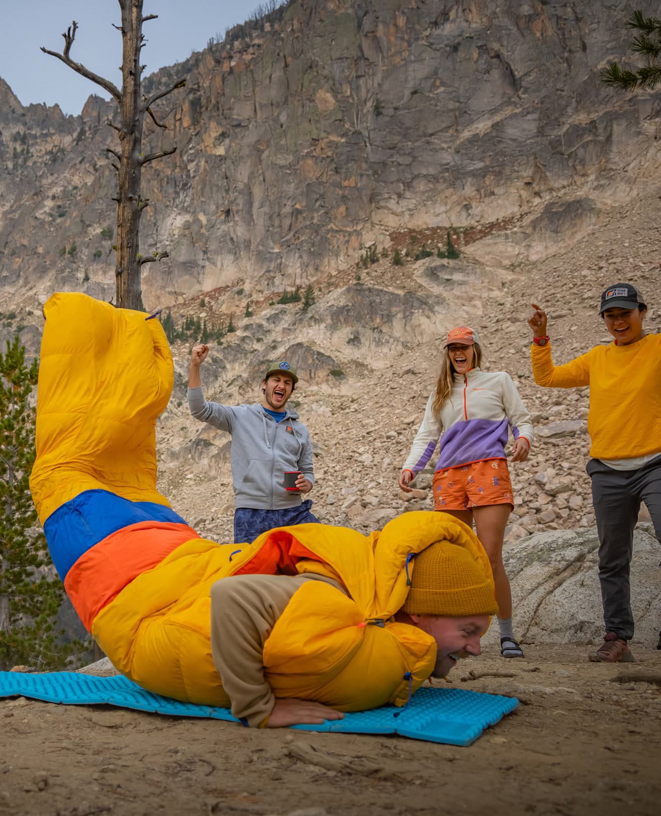 Marmot — gallery image 2
