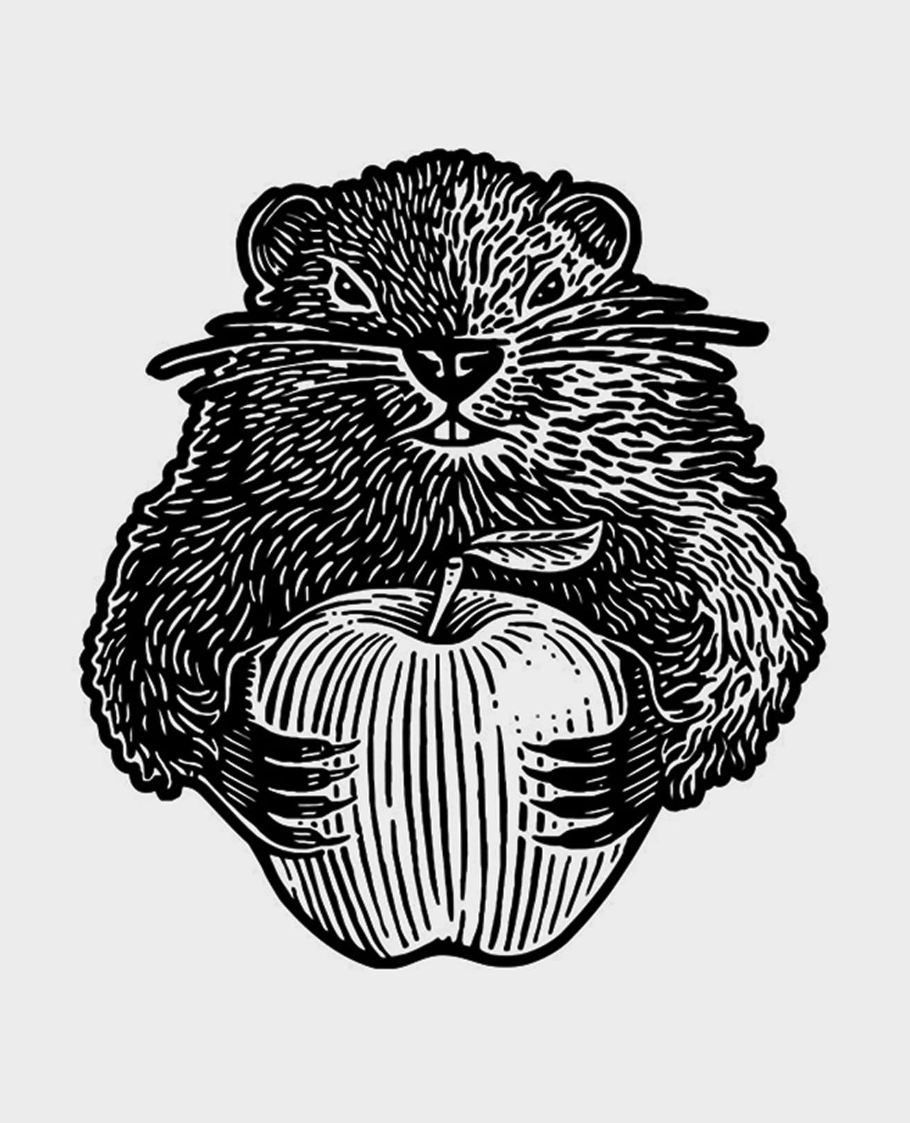 Black-and-white pen illustration of the Woodchuck mascot hugging an apple