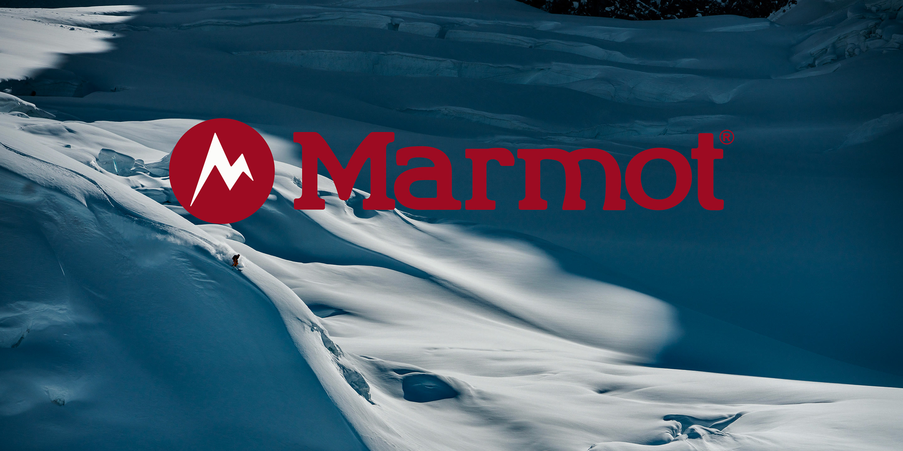 Marmot